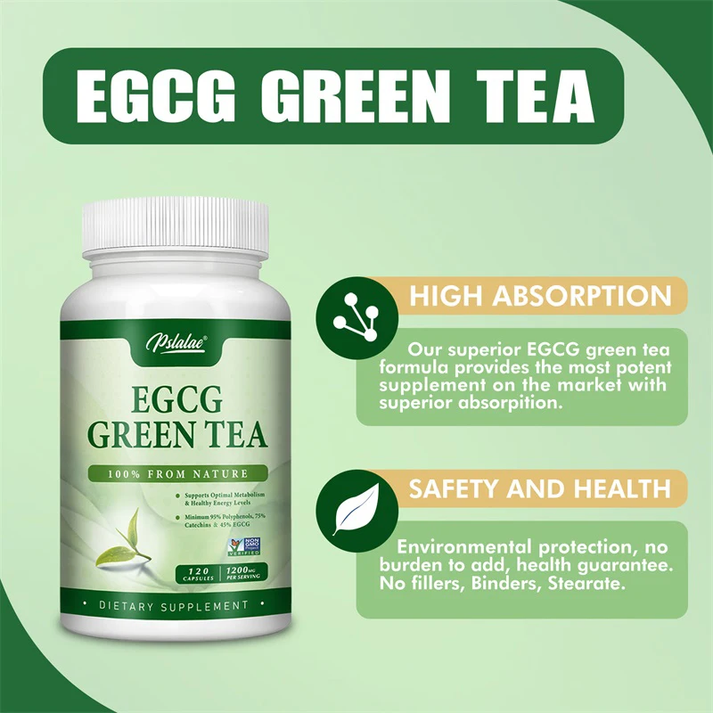 Green Tea Extract Fat - EGCG Green Tea Extract - Boosts