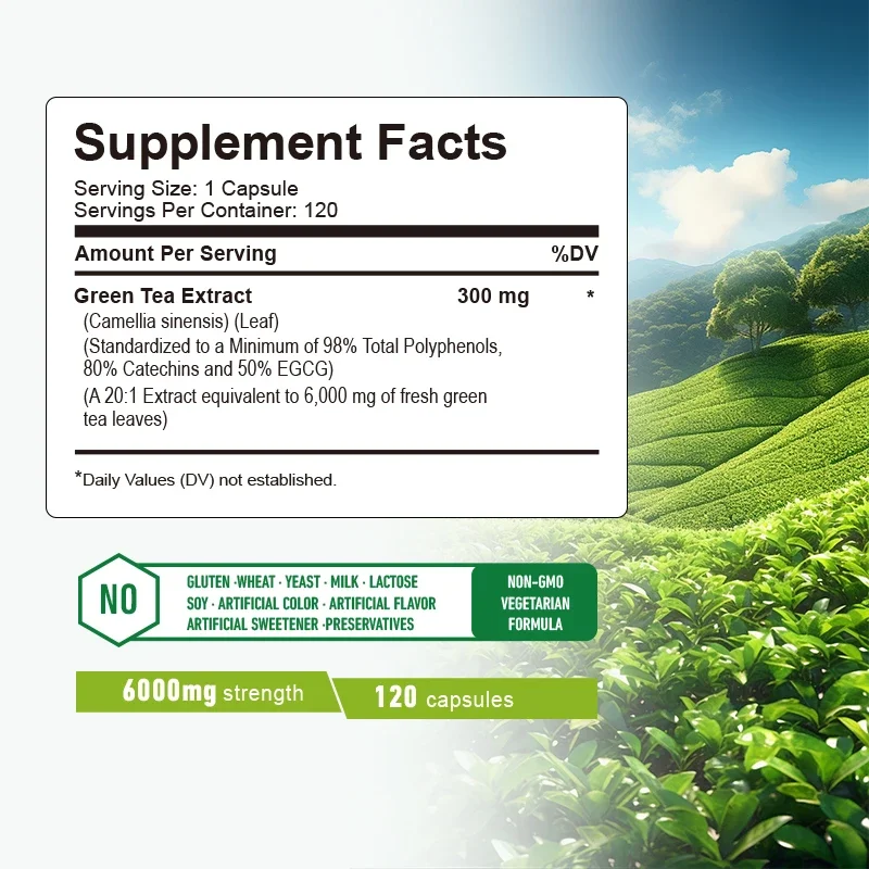 Green Tea Capsules - Belly Fat - Green Tea Extract Fat recension och pris