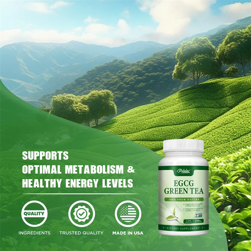 EGCG Green Tea Extract - Boost - Green Tea Extract Fat recension och pris